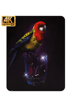 The Golden Child - 4K Limited Edition Deluxe Box