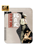Stray Dog (4K Ultra HD + Blu-ray)