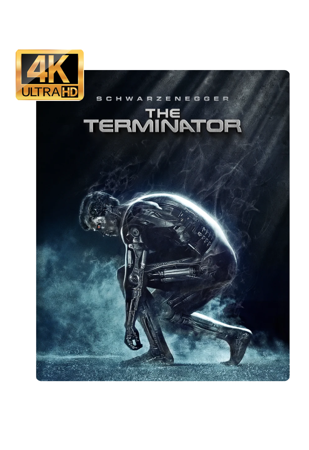 The Terminator Limited Edition Steelbook 4K Ultra HD + Reg B Blu-Ray - UK Import