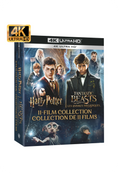 Wizarding World 11-Film Collection (4K)