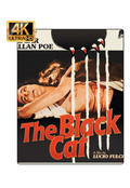 The Black Cat (4K-UHD)
